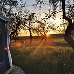 Luxusní stan Jurty V Sadu Cesky Brod