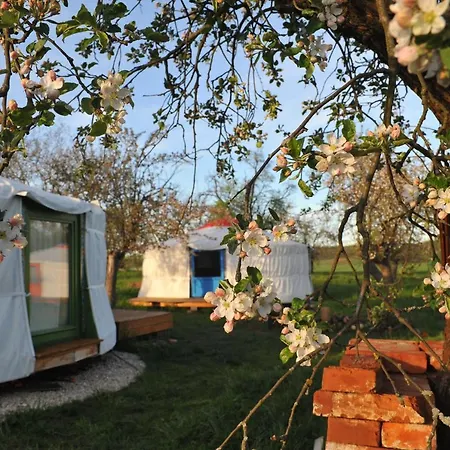 Luxury tent Jurty V Sadu