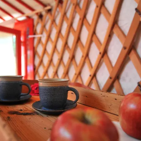 Jurty V Sadu Cesky Brod