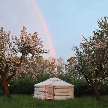 Luxe tent Jurty V Sadu
