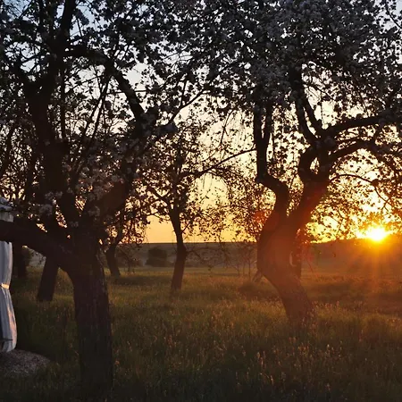 Jurty V Sadu Cesky Brod