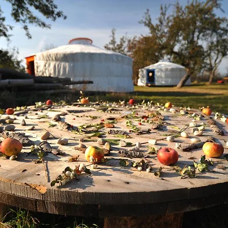 Jurty V Sadu Cesky Brod