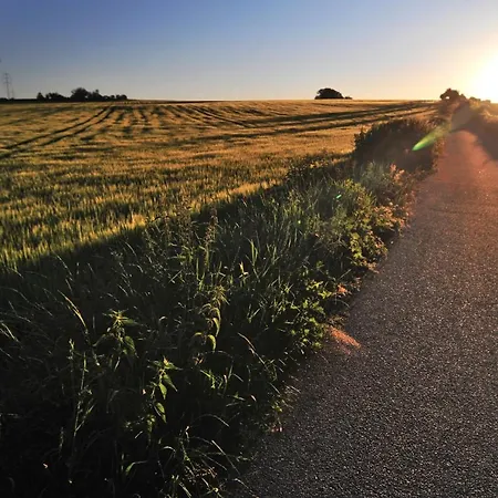 Jurty V Sadu Campo de lujo