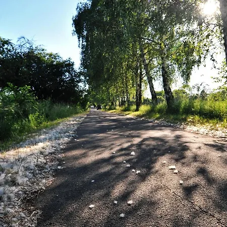 Campismo de Luxo Jurty V Sadu *