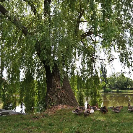 Campo de lujo Jurty V Sadu Cesky Brod