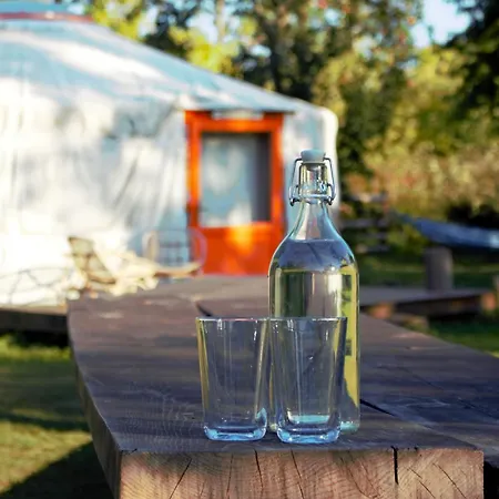 Jurty V Sadu Cesky Brod