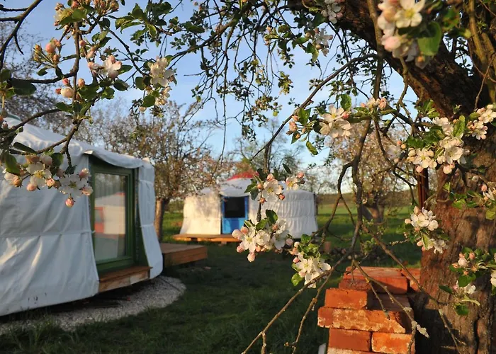 Luxussátor Jurty V Sadu