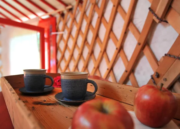 Jurty V Sadu Český Brod