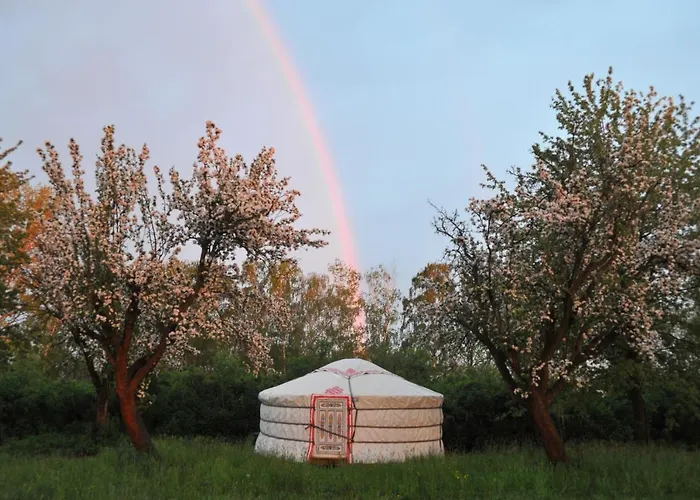 Luksustelt Jurty V Sadu