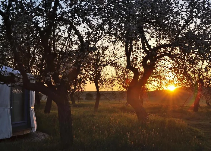 Jurty V Sadu Cesky Brod