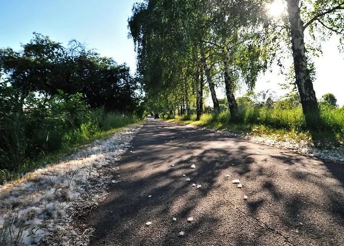 Luxussátor Jurty V Sadu *