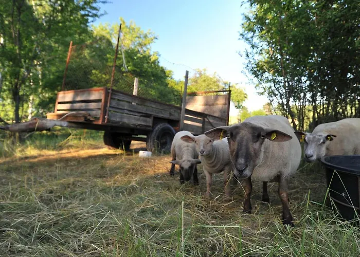 Luxussátor Jurty V Sadu *