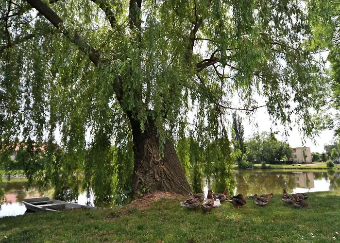 Luxussátor Jurty V Sadu Český Brod